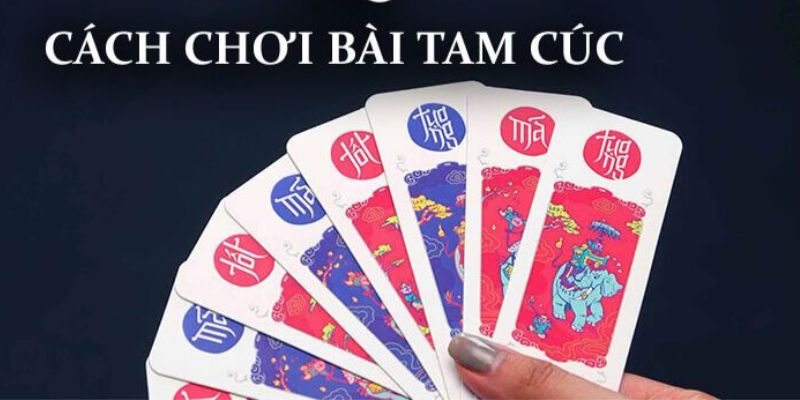Chuẩn bị trước khi chơi bài tam cúc bạn cần biết