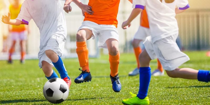 Chia sẻ kinh nghiệm soi kèo bóng cỏ